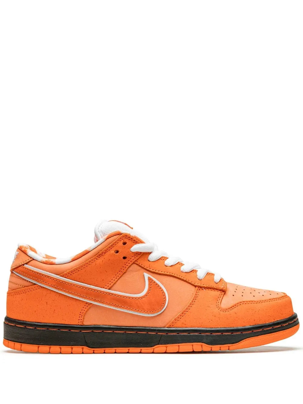 Nike X Concepts Sb Dunk Low
