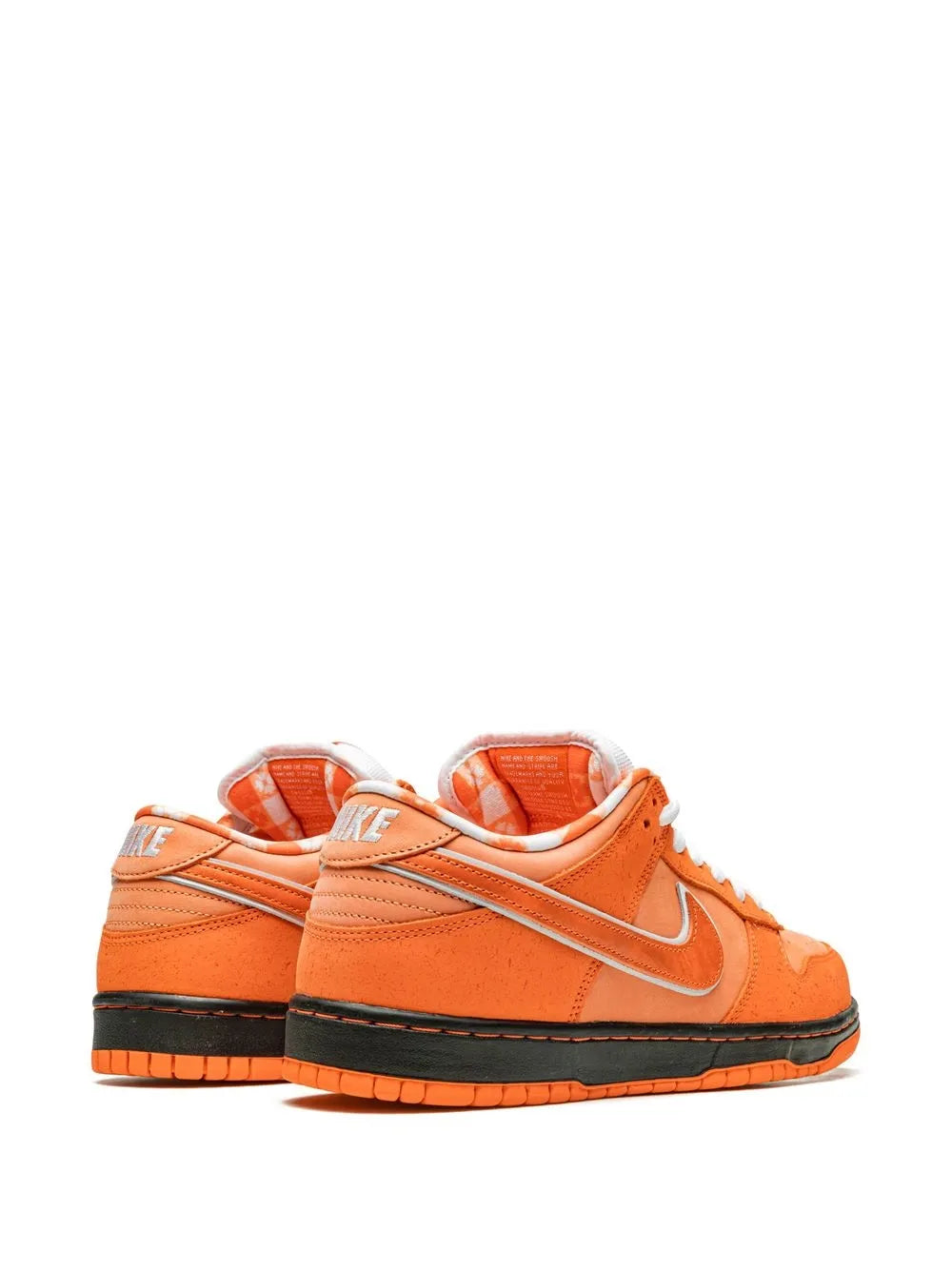 Nike X Concepts Sb Dunk Low