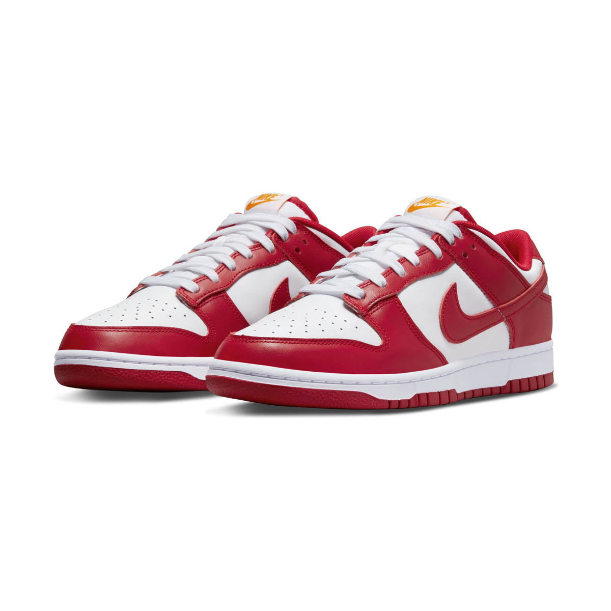 Nike Dunk Low Retro Men's Shoes