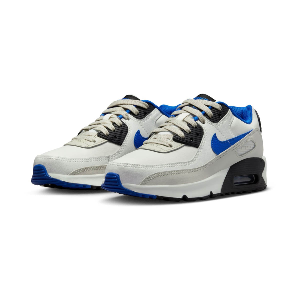Nike Air Max 90 LTR Big Kids Shoes