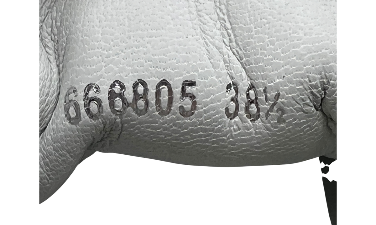 Premium Silver Fashion Essential