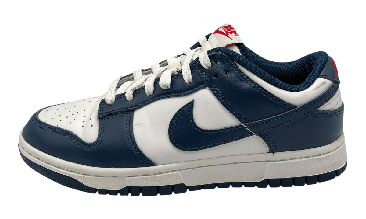 Premium Blue Low-Top Fashion Essential
